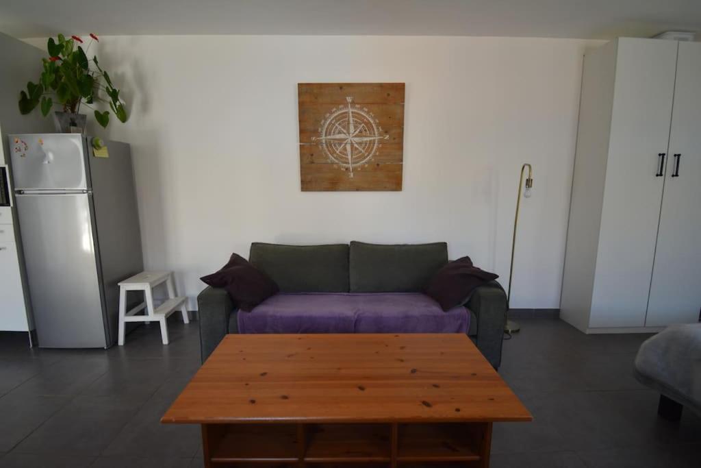 Grand Studio Independant Avec Jardin Goussainville  Luaran gambar